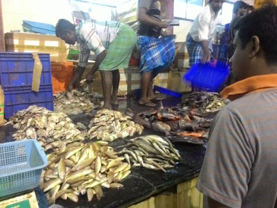 indian fish market near me